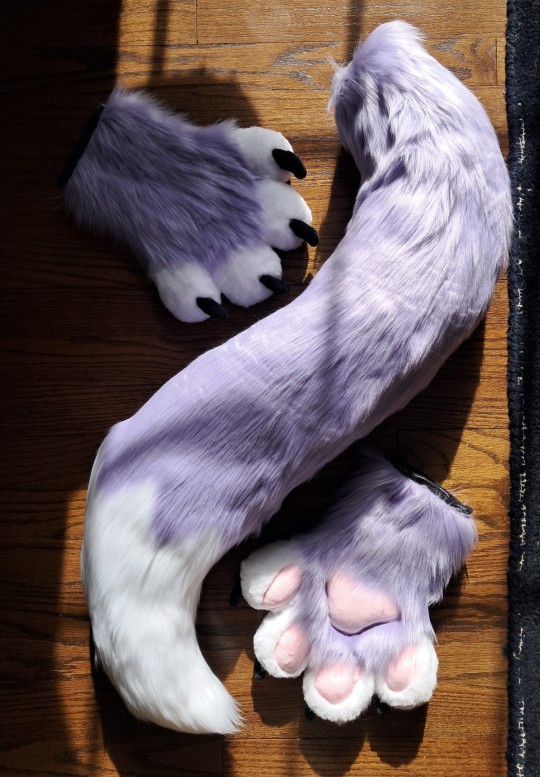 Casper's tail and handpaws