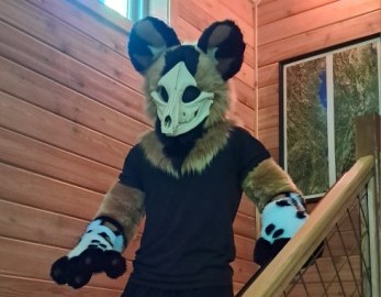 Stray's partial suit