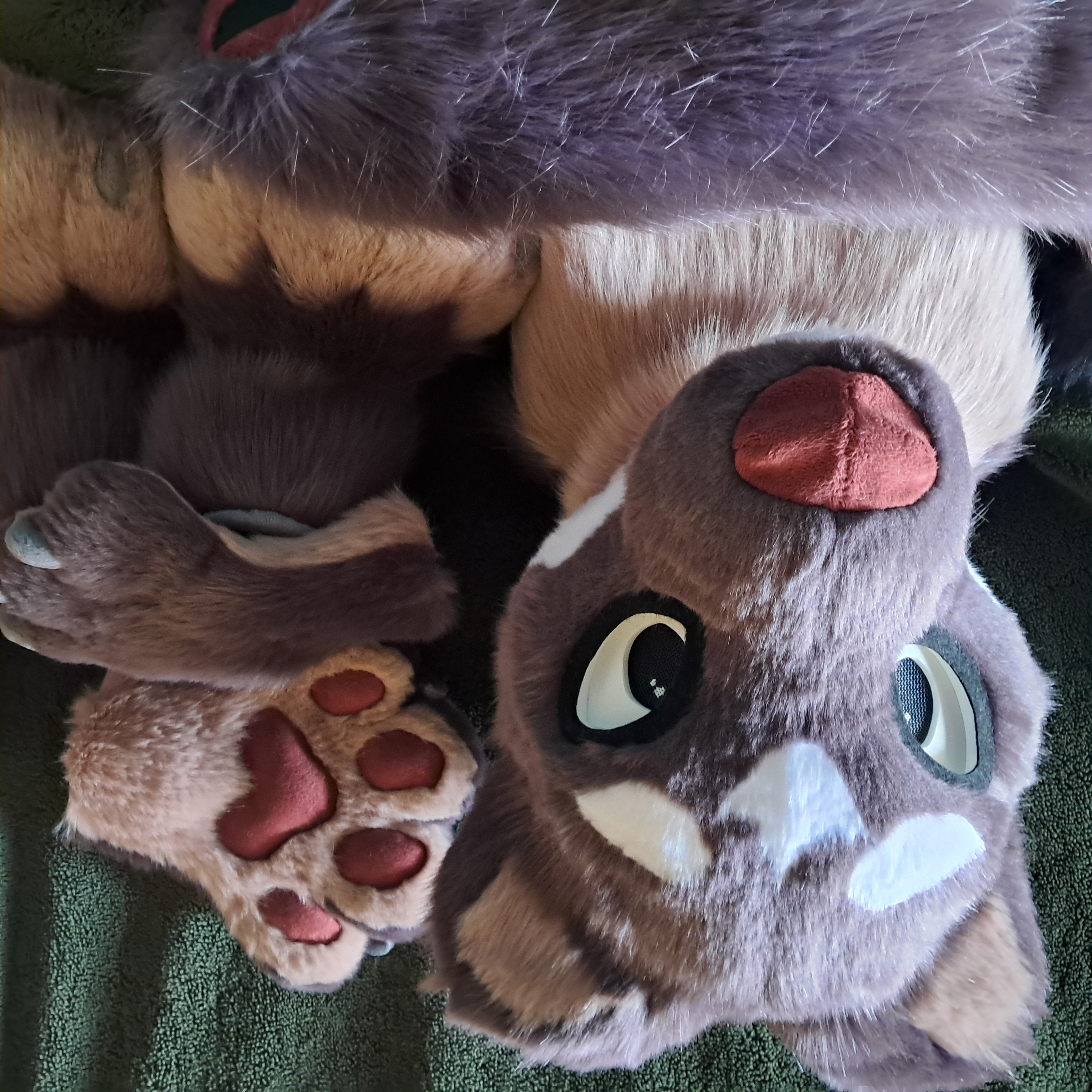 Weasel partial suit